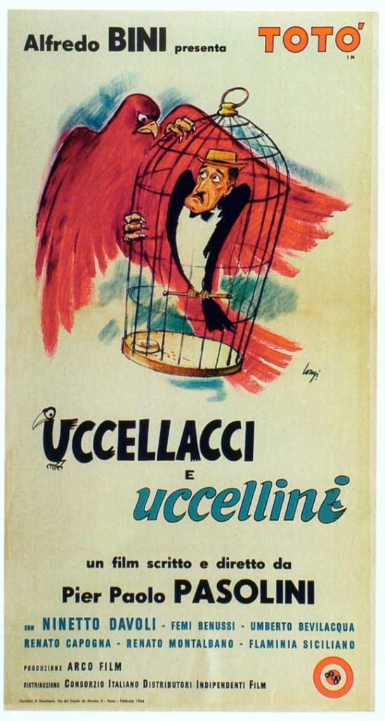 uccellacci uccellini